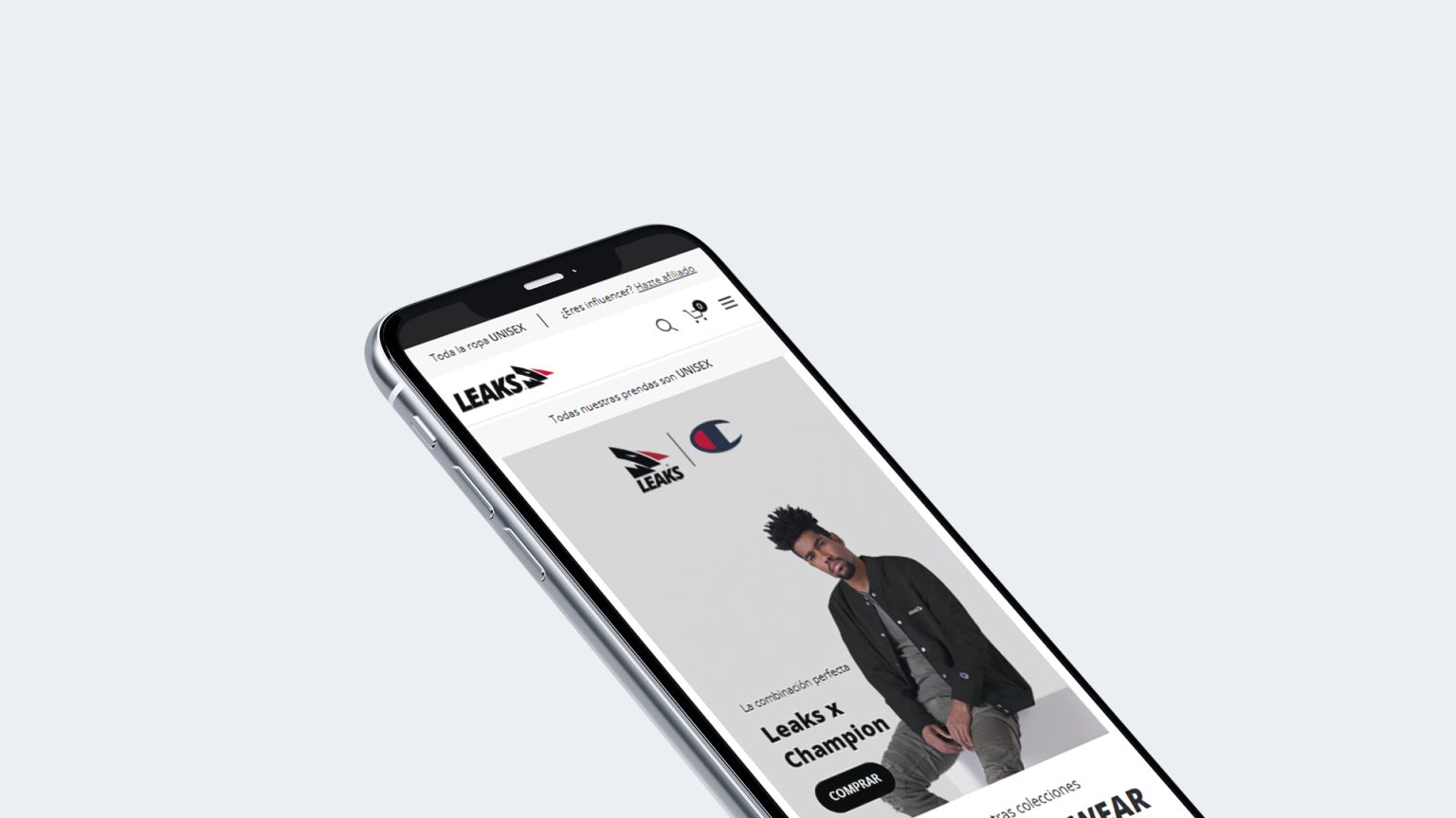 leaks_2